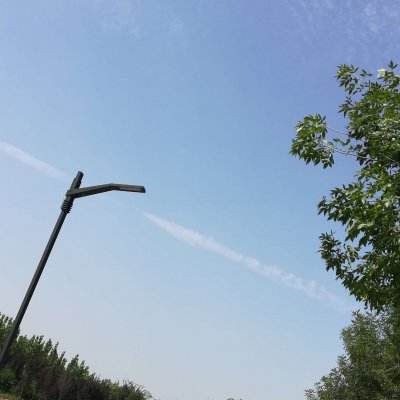 巨龙召唤测试版下载